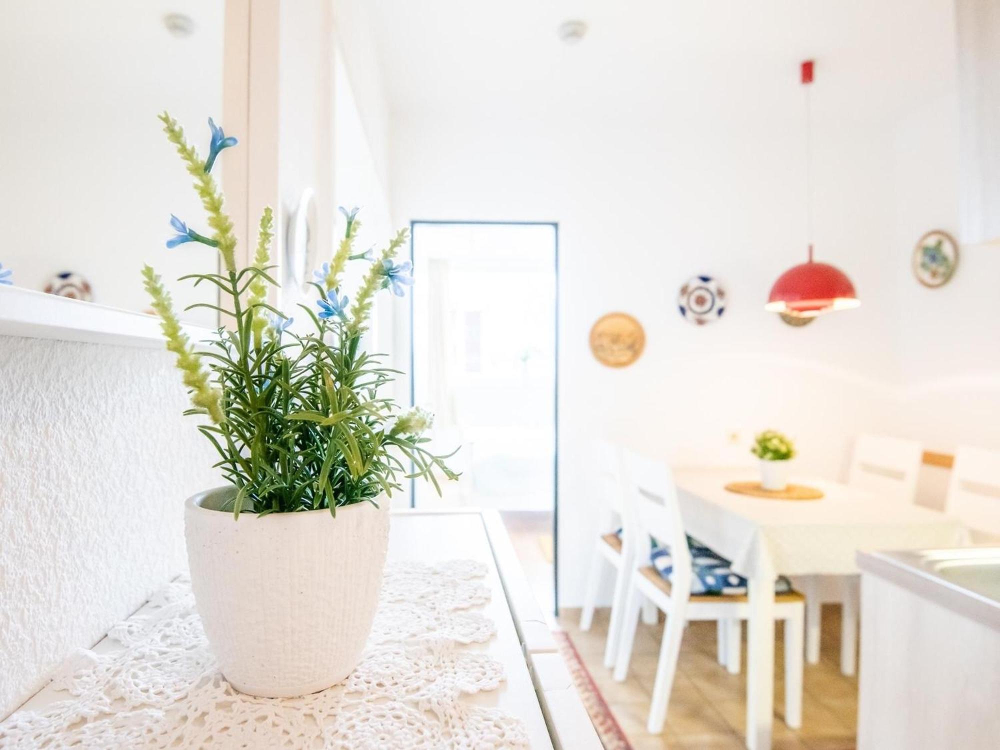 Haus Meeresblick Wohnung 24 Kellenhusen Exteriér fotografie